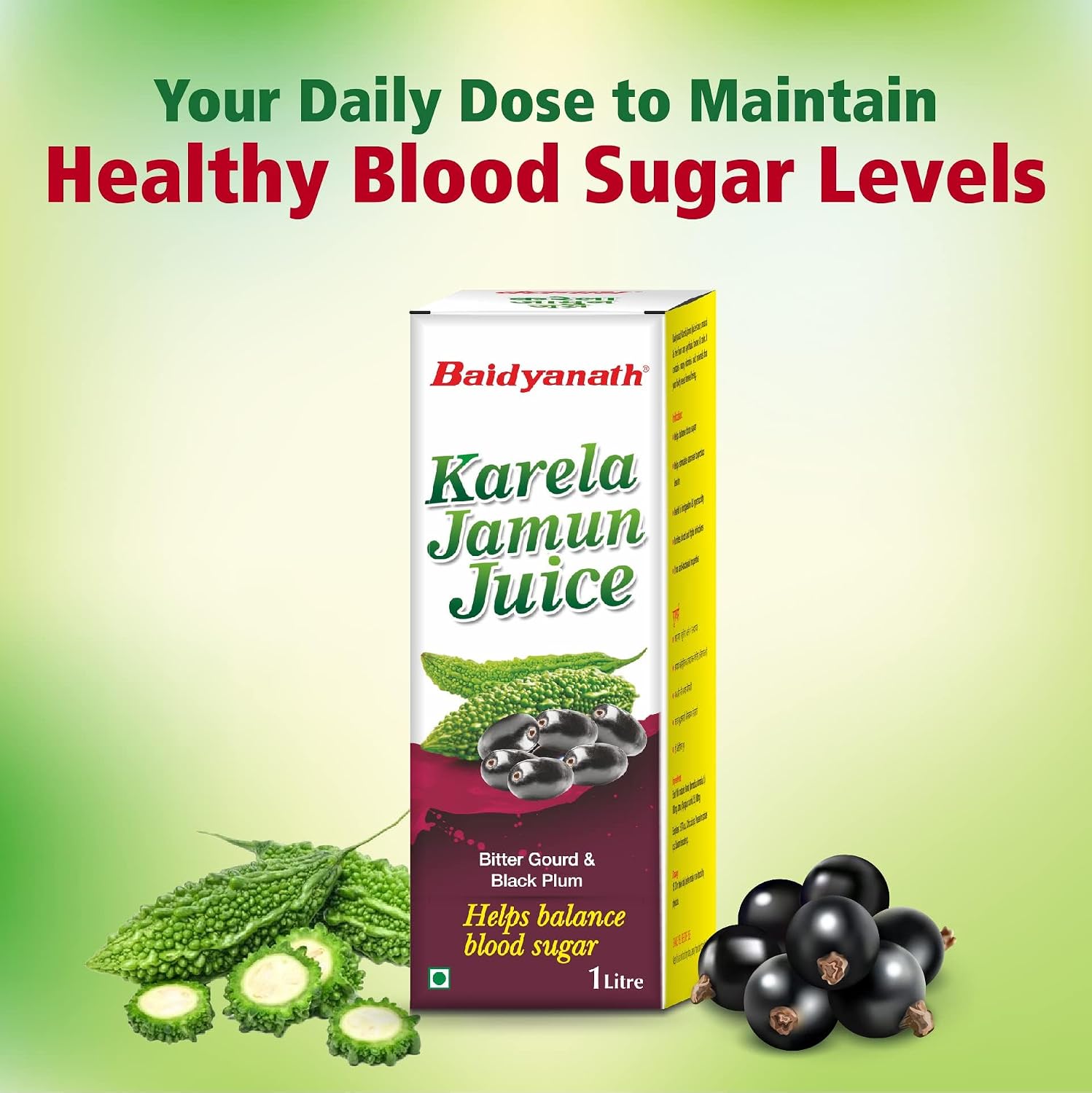 Baidyanath Ayurved Karela Jamun Juice 1L – view 3