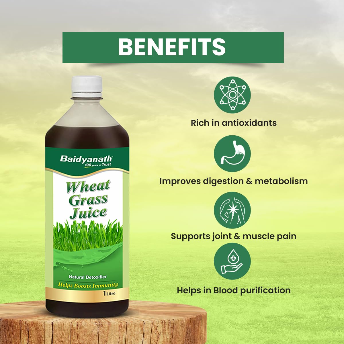 Baidyanath Ayurved Pure Wheatgrass Juice 1L – view 6