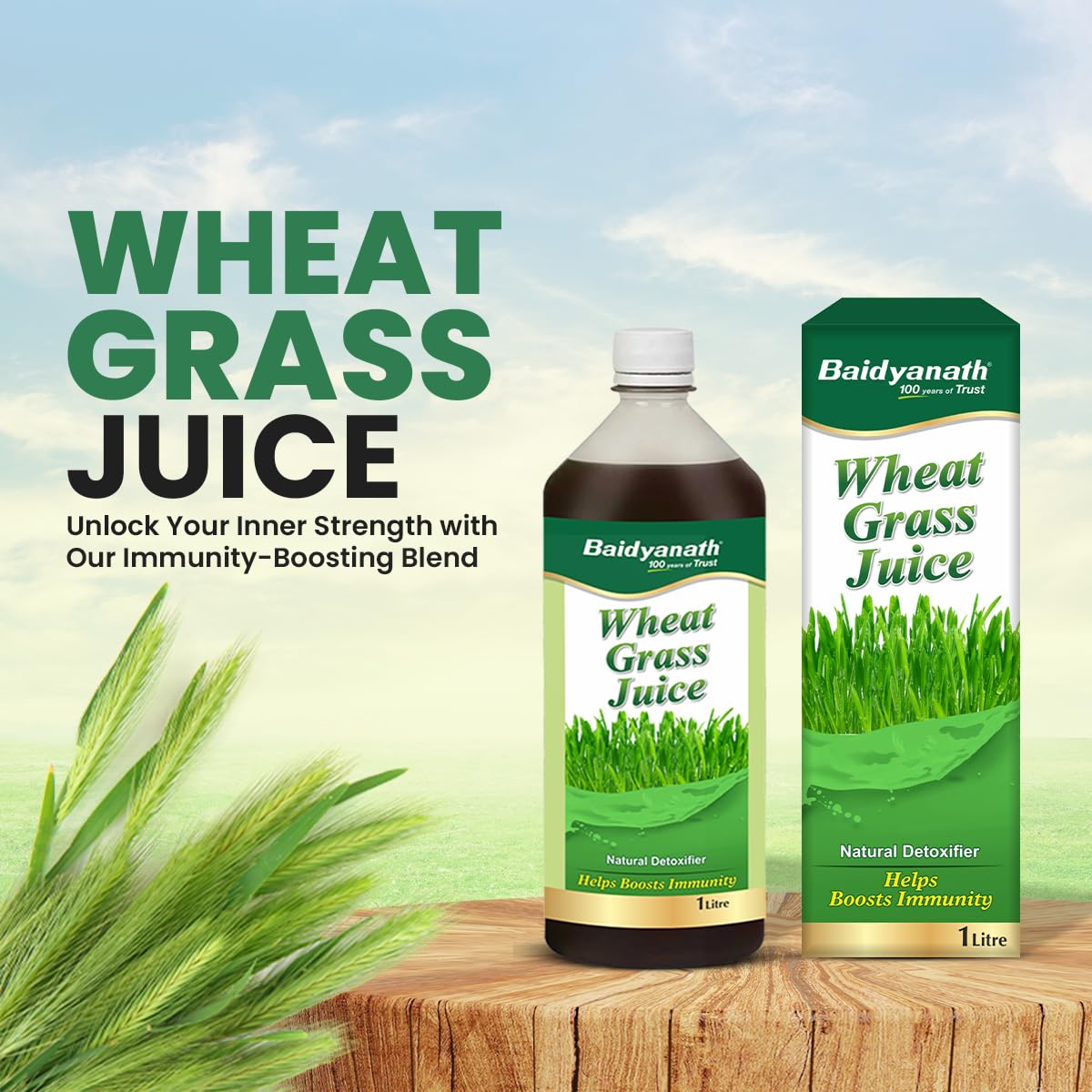 Baidyanath Ayurved Pure Wheatgrass Juice 1L – view 4