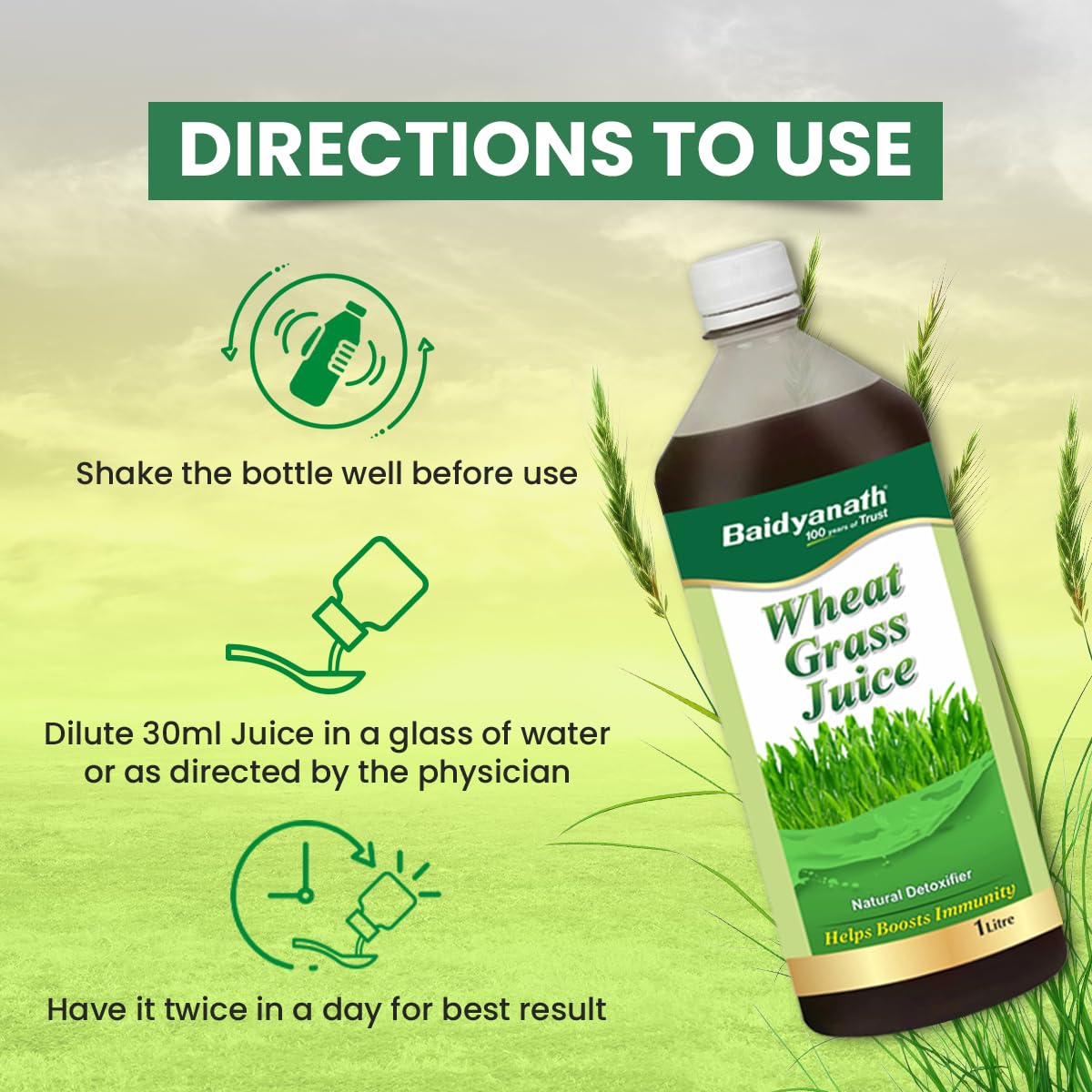 Baidyanath Ayurved Pure Wheatgrass Juice 1L – view 7