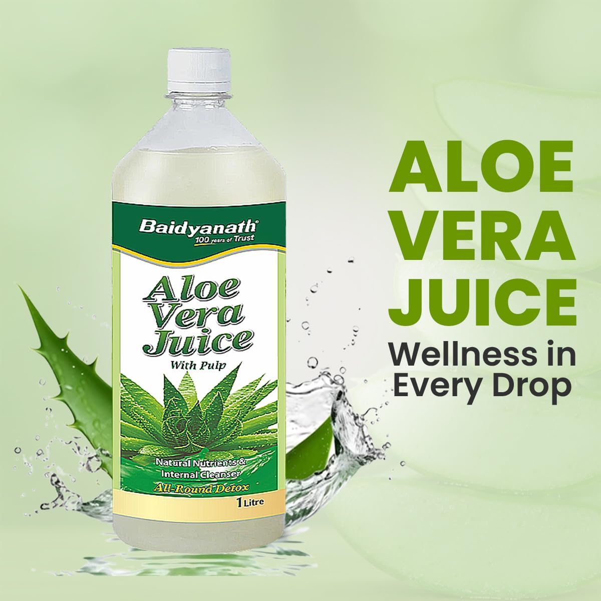 Baidyanath Ayurved Aloe Vera Juice 1L – view 3
