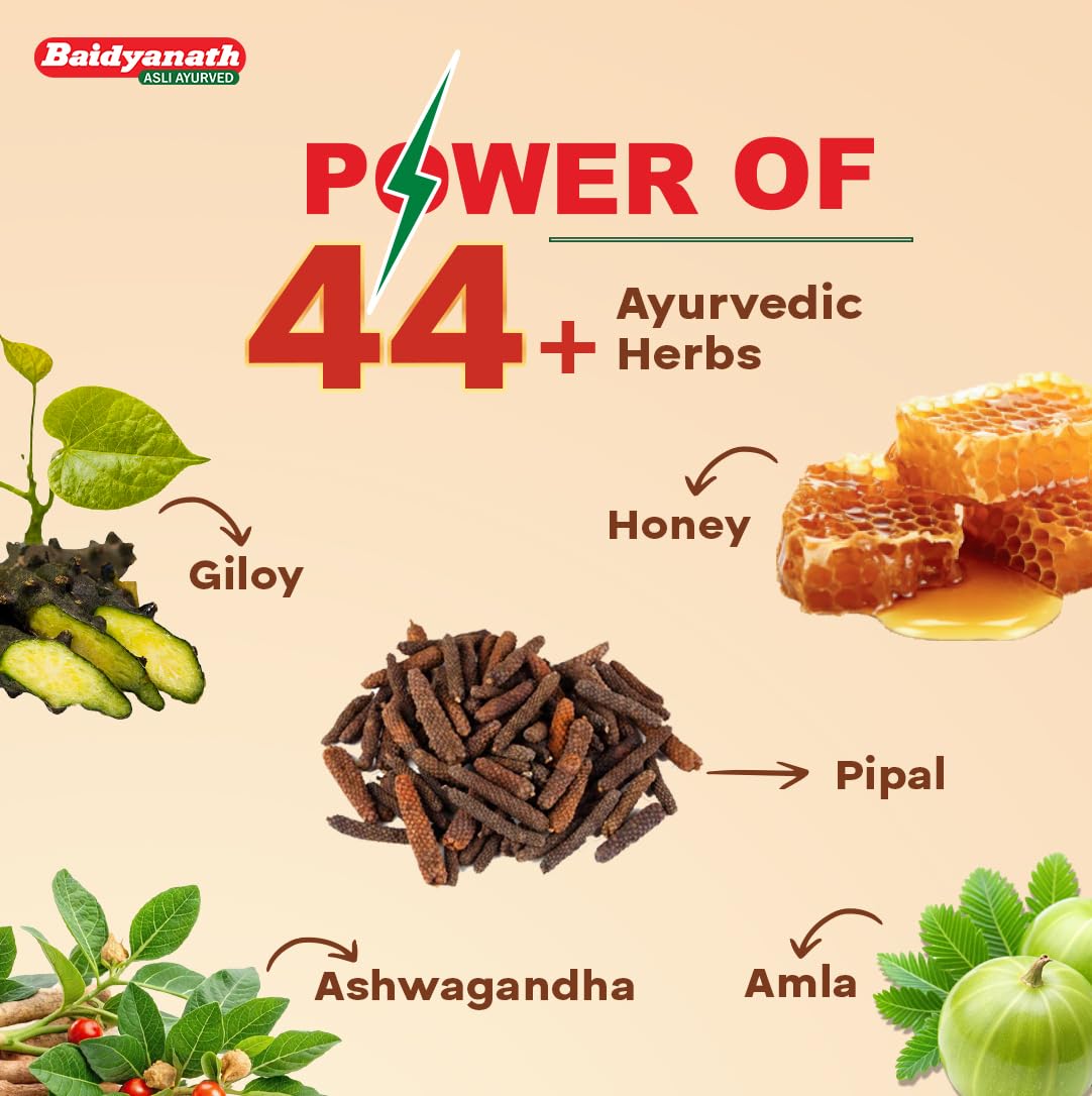 Baidyanath Chyawanprash Special Pack 2.4 kg – view 5