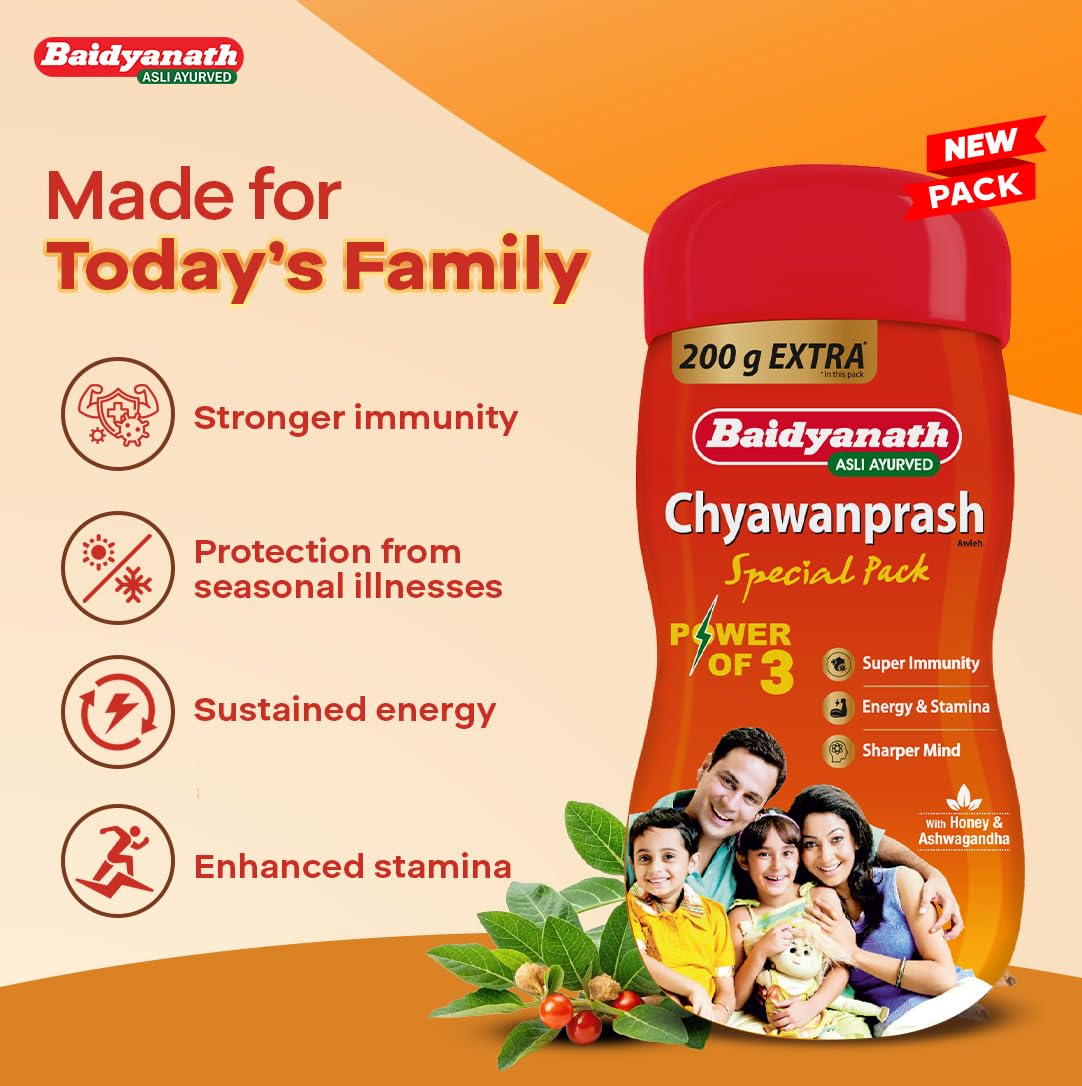 Baidyanath Chyawanprash Special Pack 2.4 kg – view 6