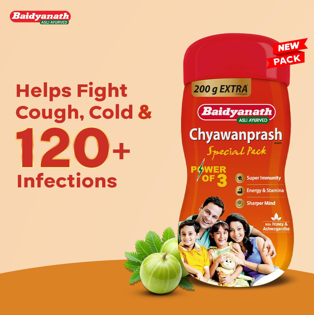 Baidyanath Chyawanprash Special Pack 2.4 kg – view 3