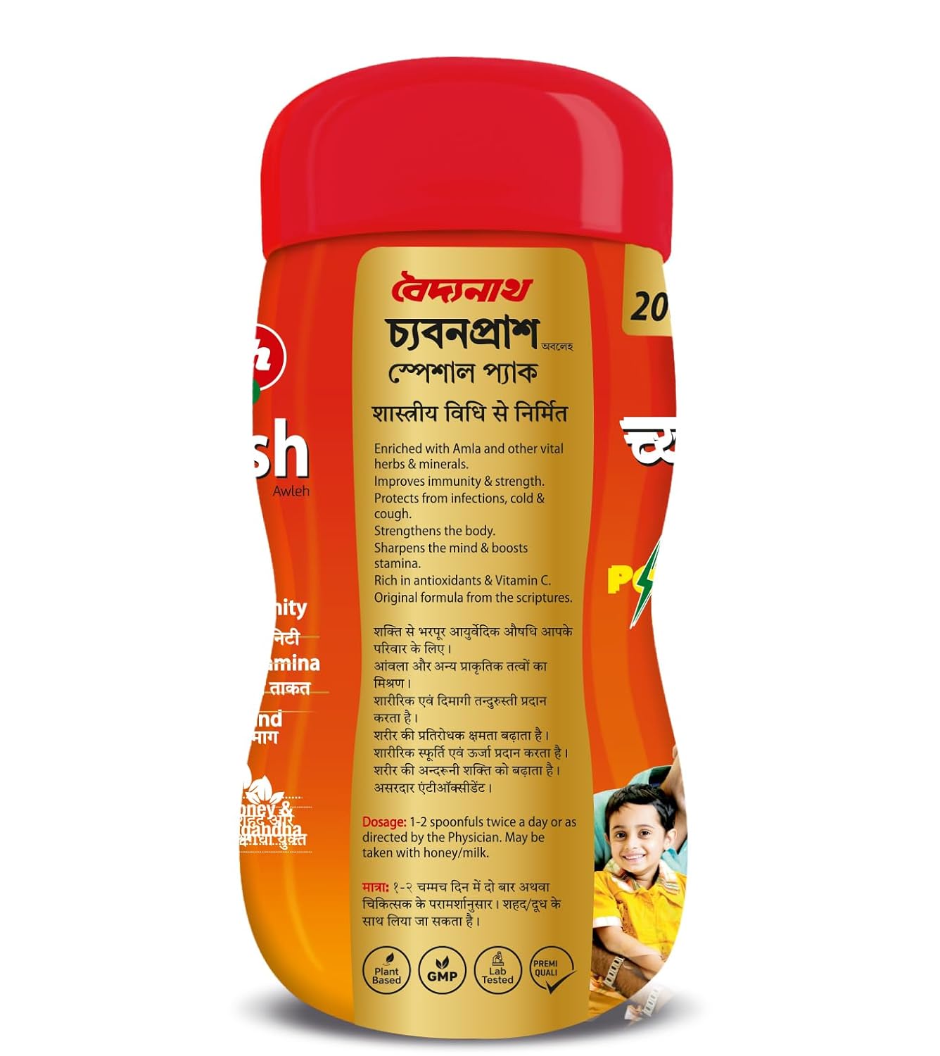 Baidyanath Chyawanprash Special Pack 2.4 kg – view 8