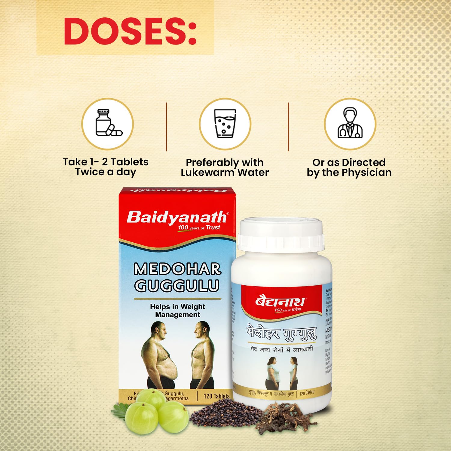 Baidyanath Ayurved Medohar Guggulu Tablets, 120 Tablets – view 6