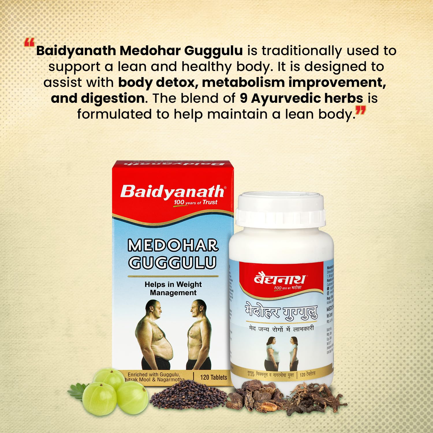 Baidyanath Ayurved Medohar Guggulu Tablets, 120 Tablets – view 5