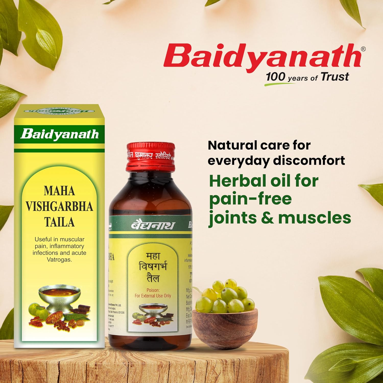 Baidyanath Ayurved Mahavishgarbh Tail 100 ml – view 2