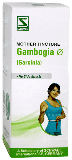 Dr. Willmar Schwabe India Gambogia Q 30 ml – view 2