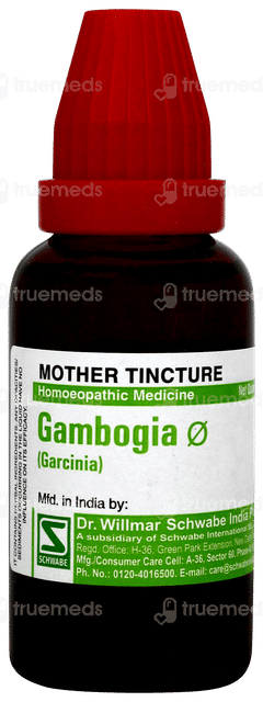 Dr. Willmar Schwabe India Gambogia Q 30 ml – view 3
