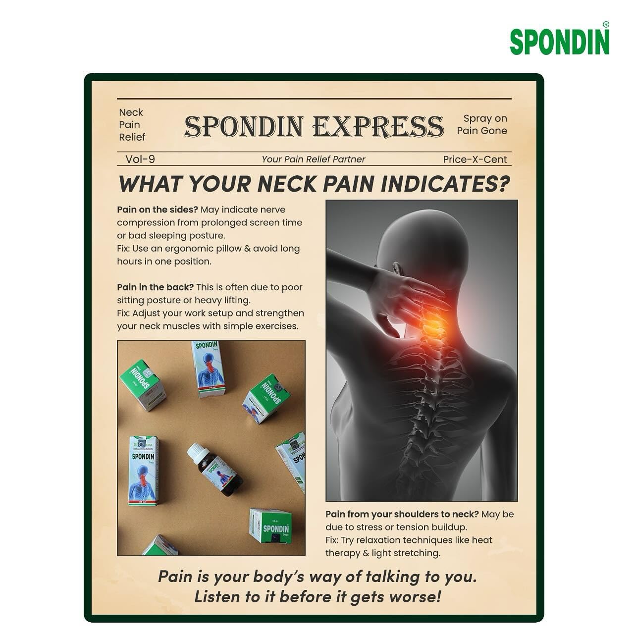Bhargava Phytolab Spondin Drops for Neck, Back & Shoulder Pain 30 ml – view 5