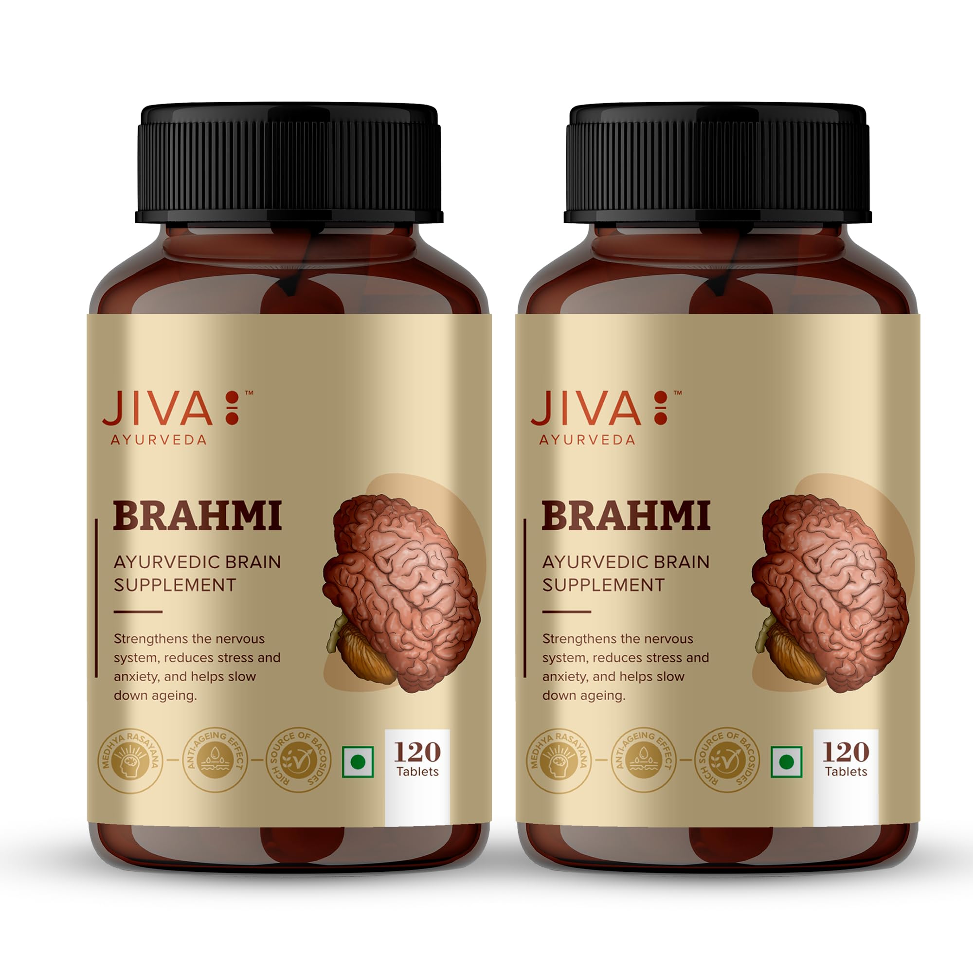 Jiva Ayurveda Brahmi tablets 500 mg 240 count pack