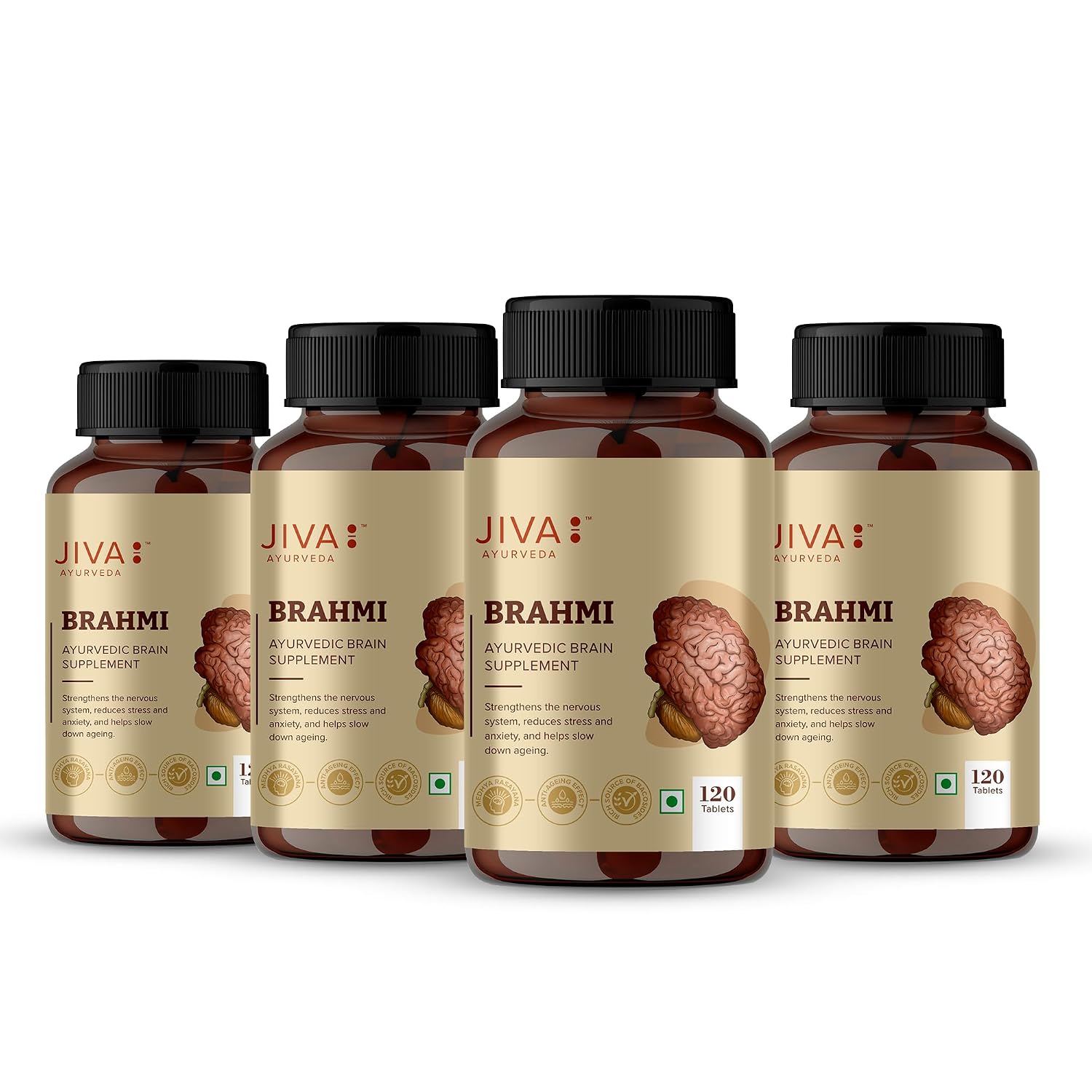Jiva Brahmi Tablets 500mg 480 Tablet for Mind Wellness | Helps to Relief Stress & Anxiety 120 Tablet (Pack of 4)