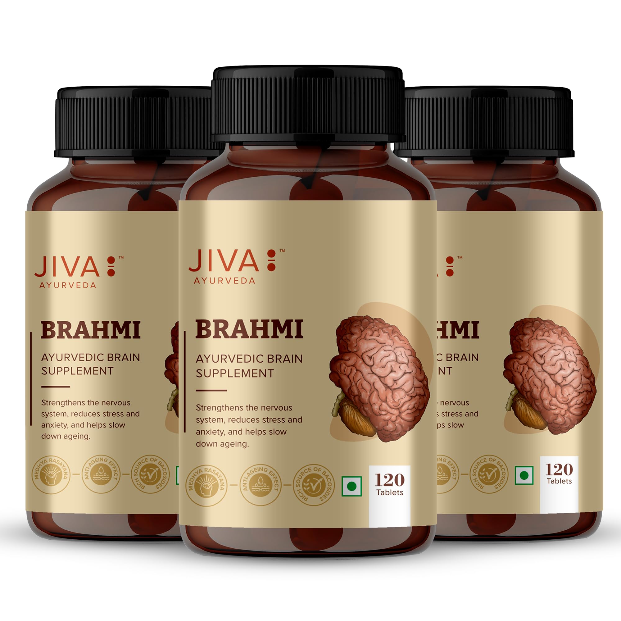 Jiva Ayurveda Brahmi tablets 500mg pack of 4 bottles