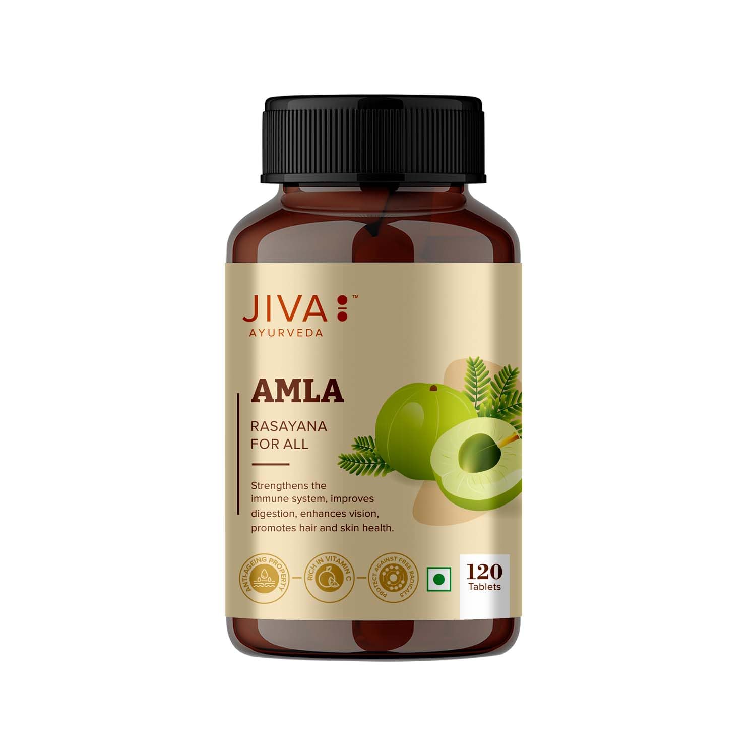 Jiva Amla Tablets 500mg 240 Tablets – view 2