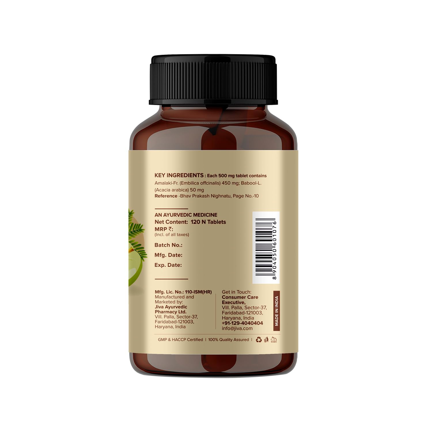 Jiva Amla Tablets 500mg 240 Tablets – view 3