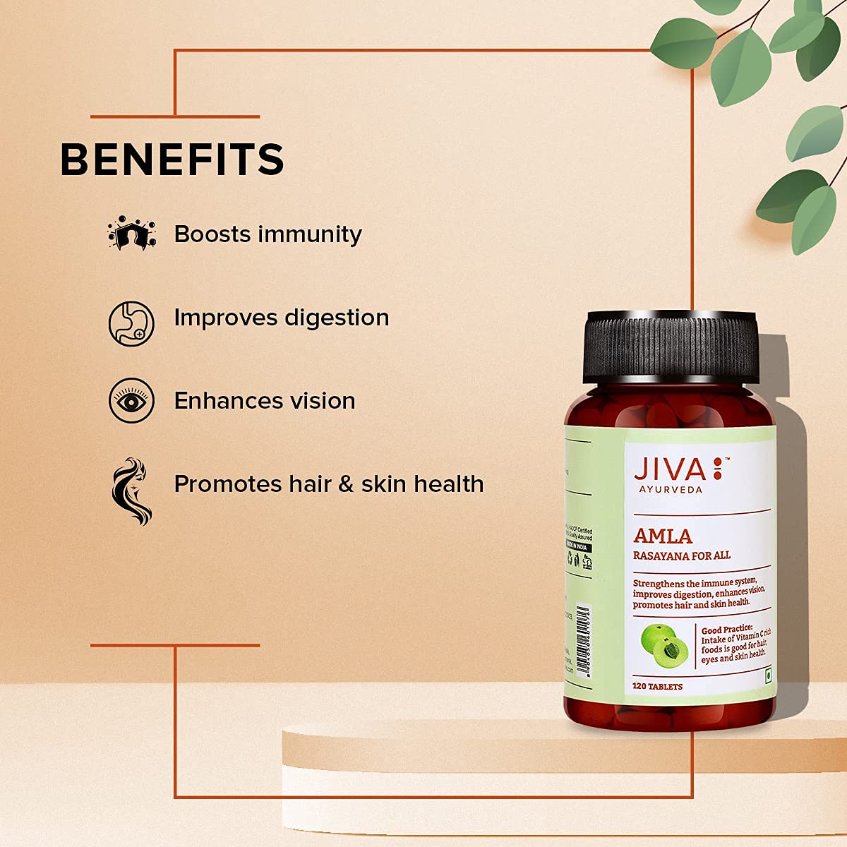 Jiva Amla Tablets 500mg 240 Tablets – view 5