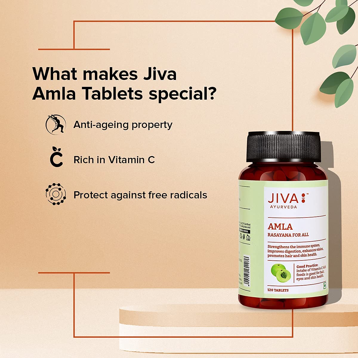 Jiva Amla Tablets 500mg 240 Tablets – view 6