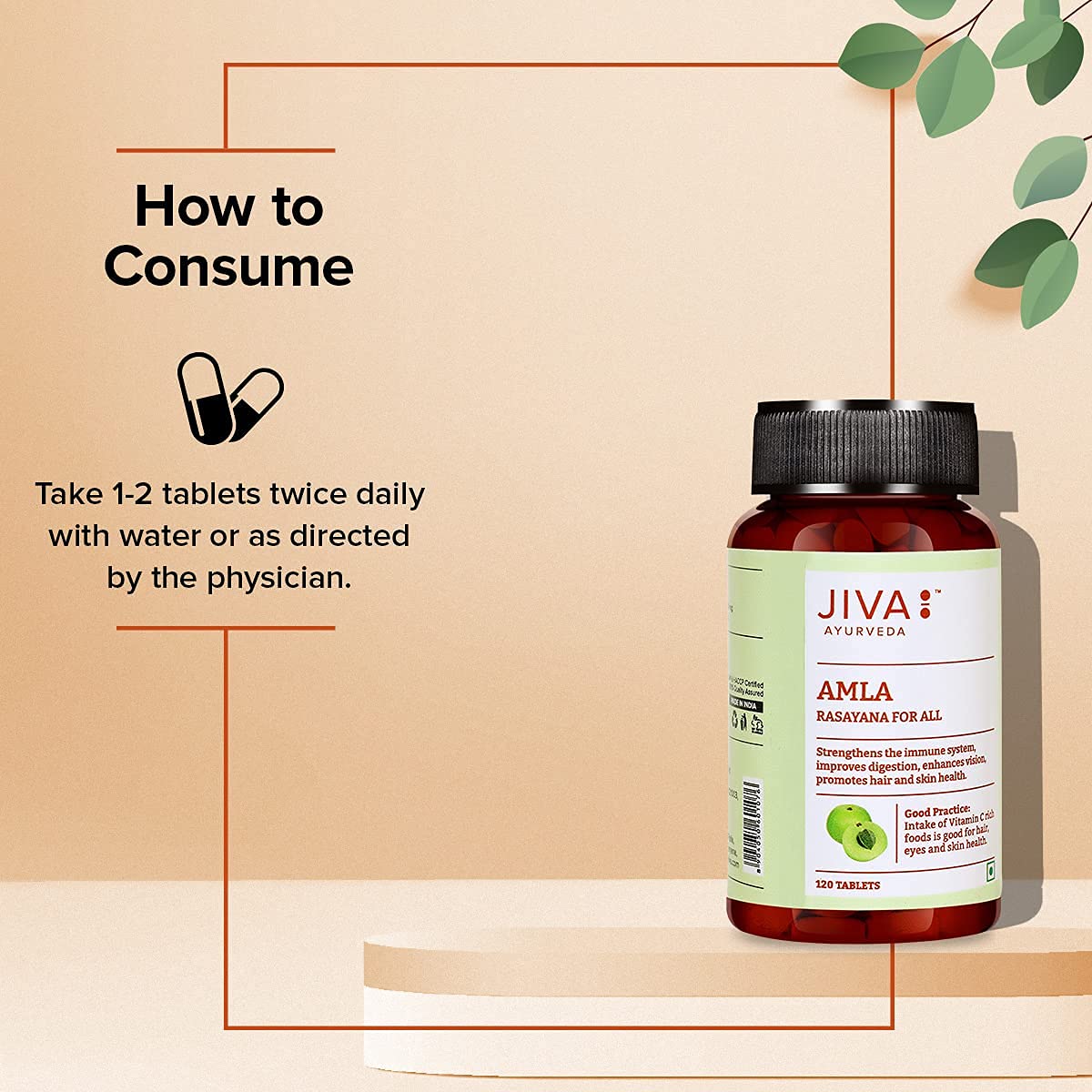 Jiva Amla Tablets 500mg 240 Tablets – view 7
