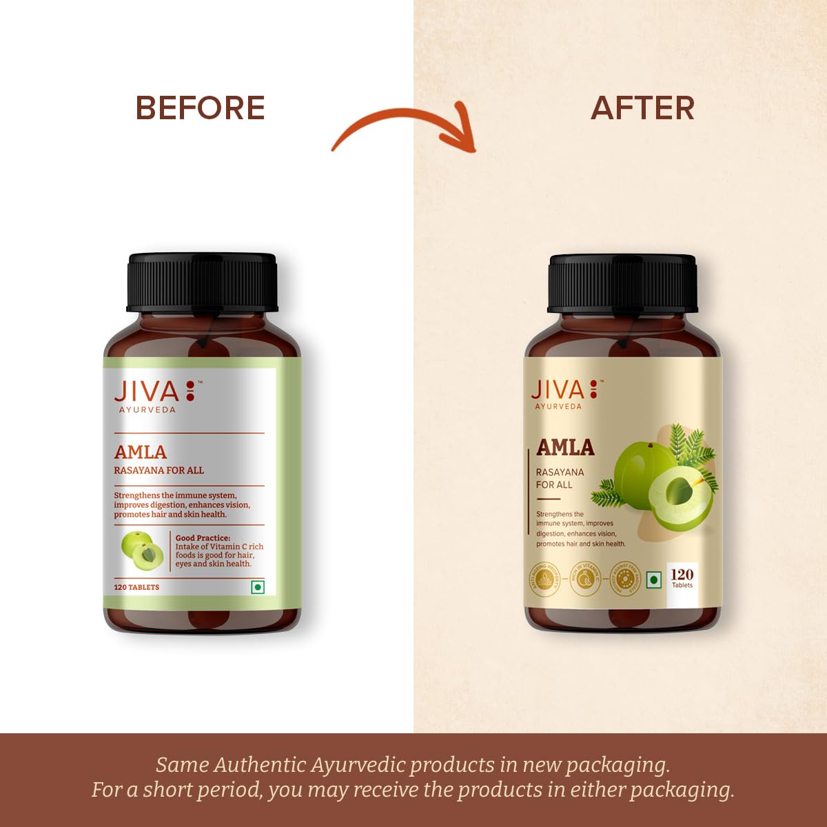 Jiva Amla Tablets 500mg 240 Tablets – view 8