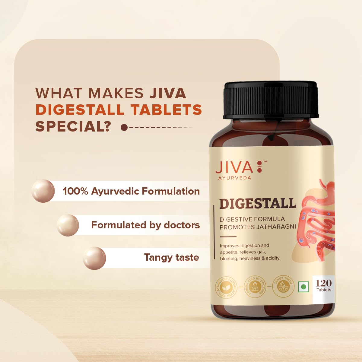 Jiva Digestall Tablet 500mg – view 8