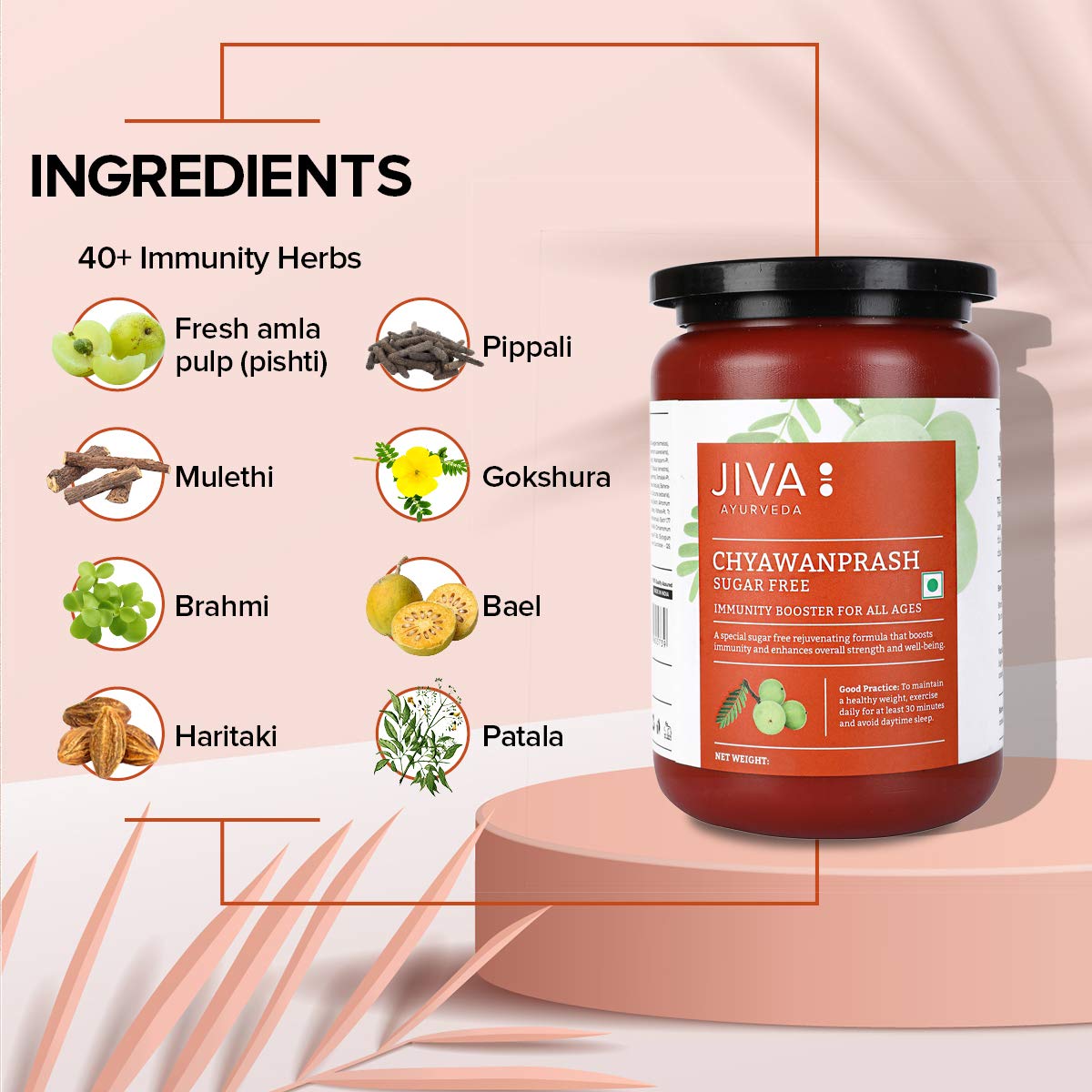 Jiva Sugar-Free Chyawanprash 1 Kg – view 4