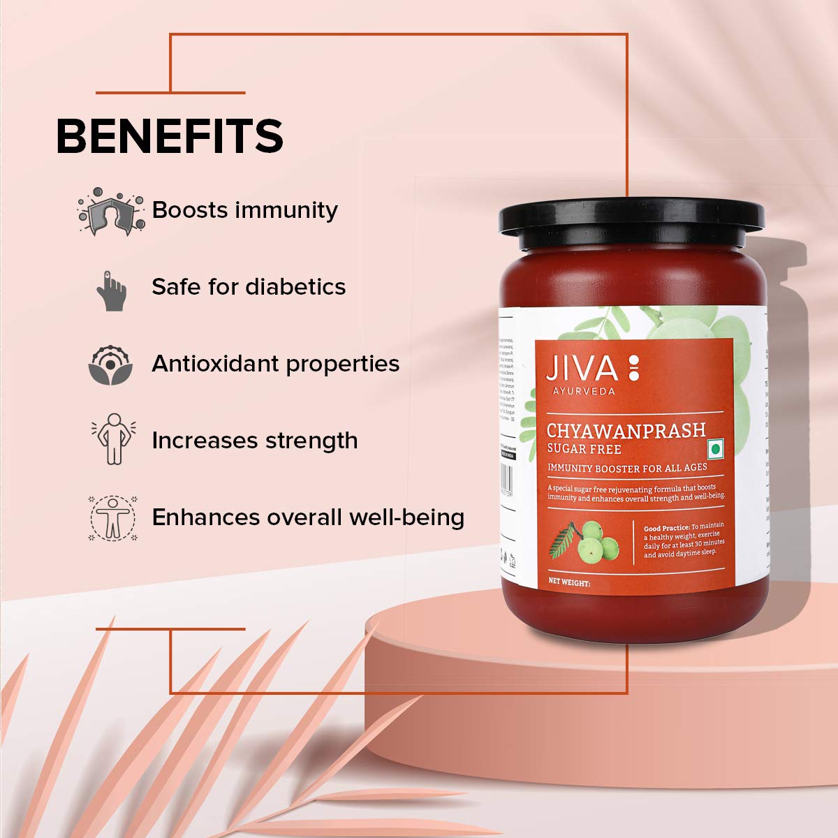 Jiva Chyawanprash - 500gm (Pack of 1) – view 4
