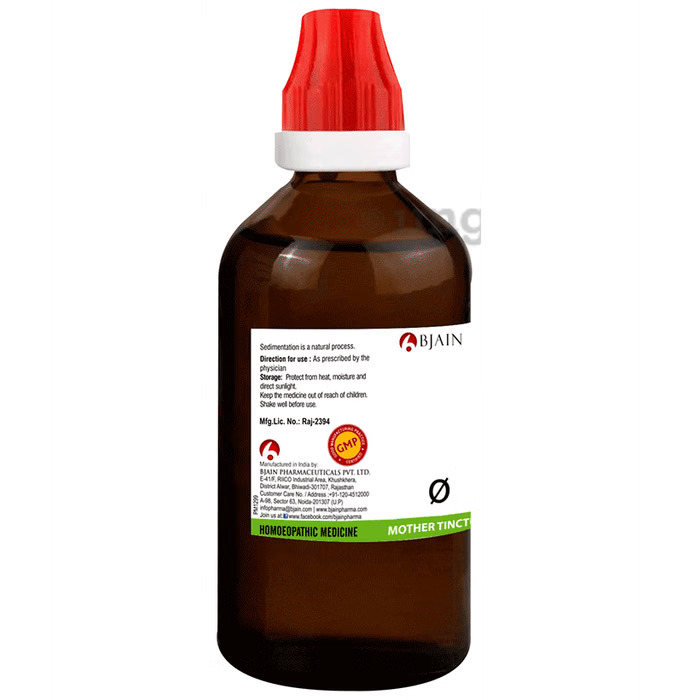 Bjain Bacopa Monnieri Mother Tincture Q, 100ml – view 2