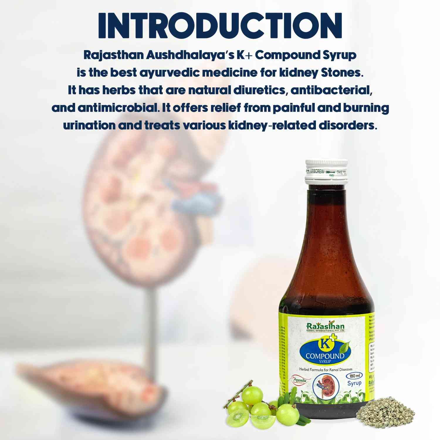 Rajasthan Aushdhalaya K+ Compound Syrup 180ml , Ayurvedic Kidney Stone & Urinary Health Support,  Buy Indian Ayurveda Online USA – Bazaar5.com – view 3
