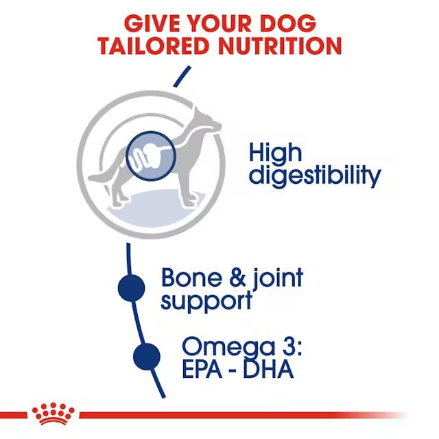 Royal Canin Maxi Adult Dog Food, Dry Food, Supports Digestive Health & Optimal Health, Provides Bone & Joint Support, 1 Kg – view 2