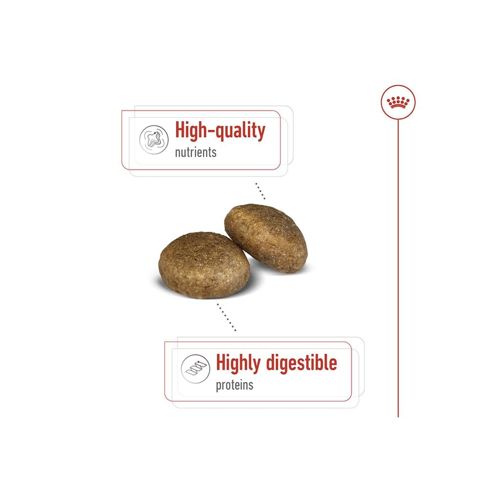 Royal Canin Maxi Adult Dog Food, Dry Food, Supports Digestive Health & Optimal Health, Provides Bone & Joint Support, 1 Kg – view 3