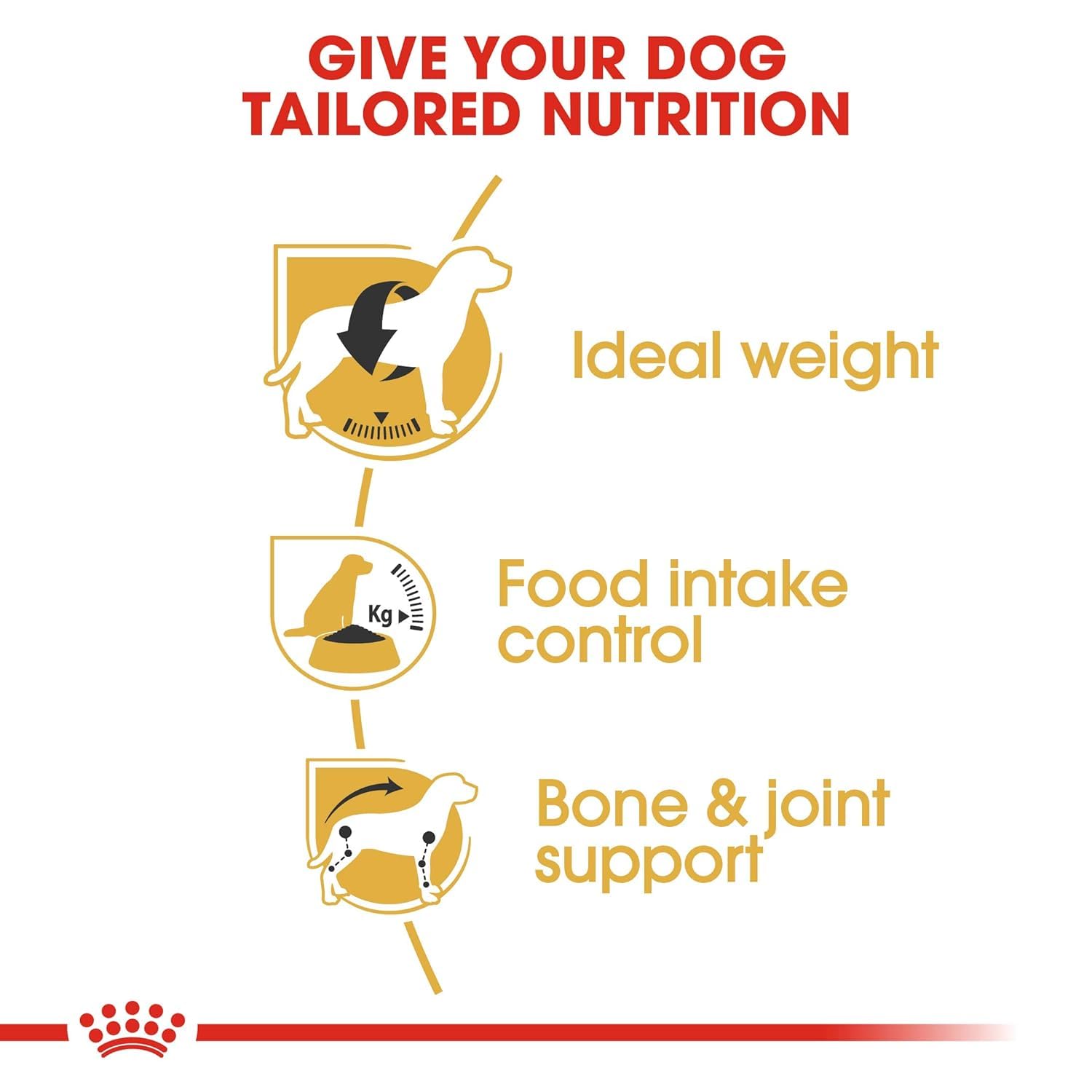 Royal Canin Beagle Adult Dog Food, 3 Kg, Dry Food, Supports Ideal Weight, Helps with Food intake control, Promotes Healthy Bone & Joint health – view 2