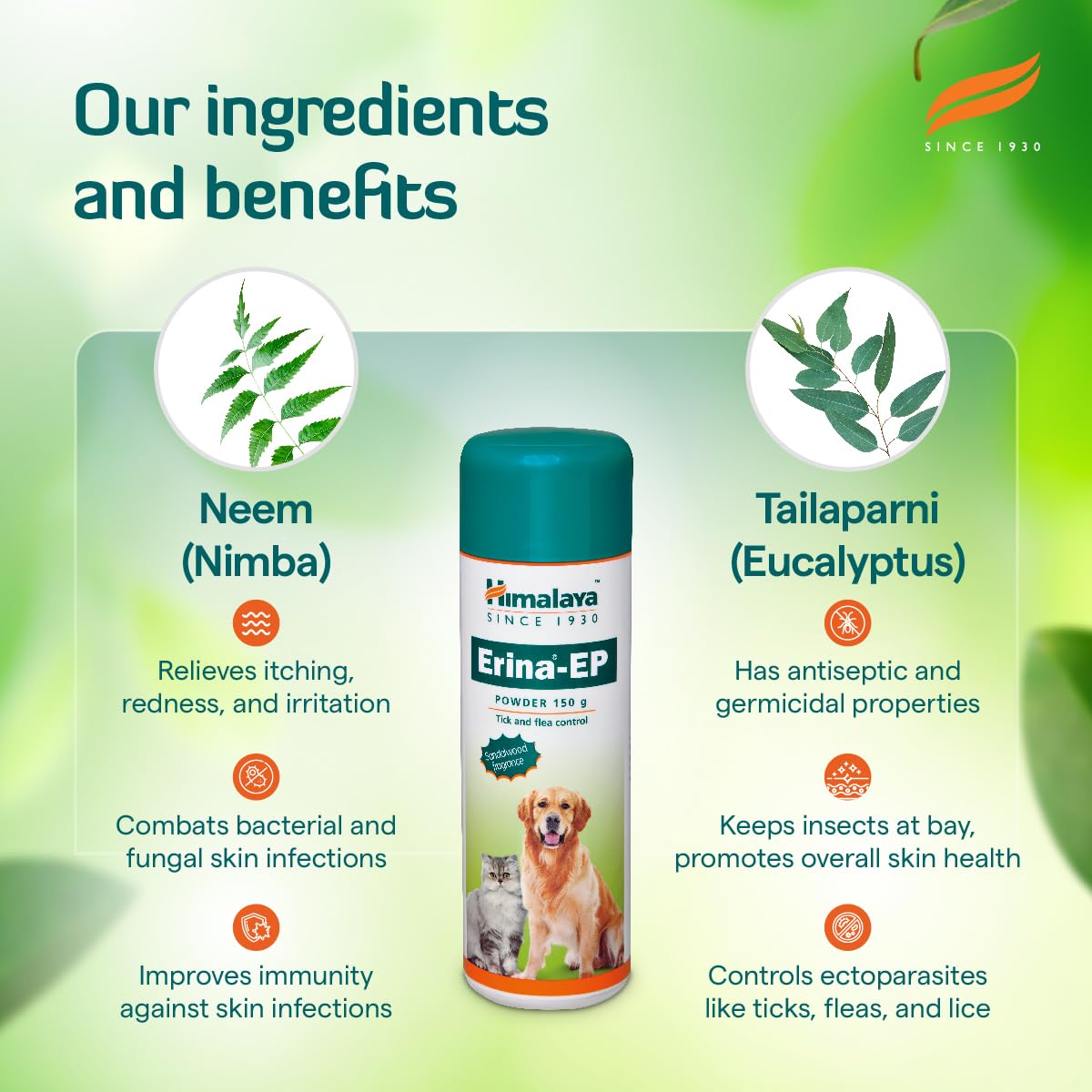 Himalaya Erina-EP Powder – view 3