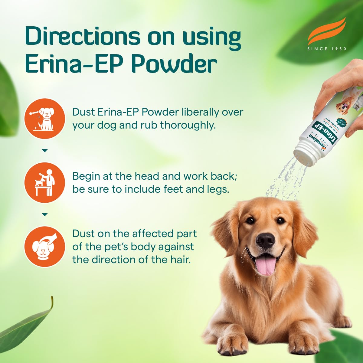 Himalaya Erina-EP Powder – view 4
