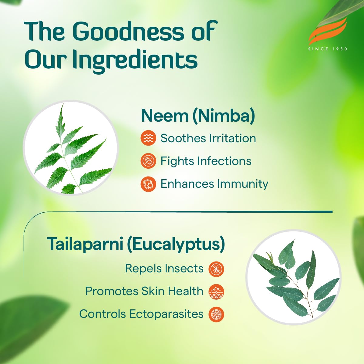 Himalaya Erina-EP Shampoo – view 5