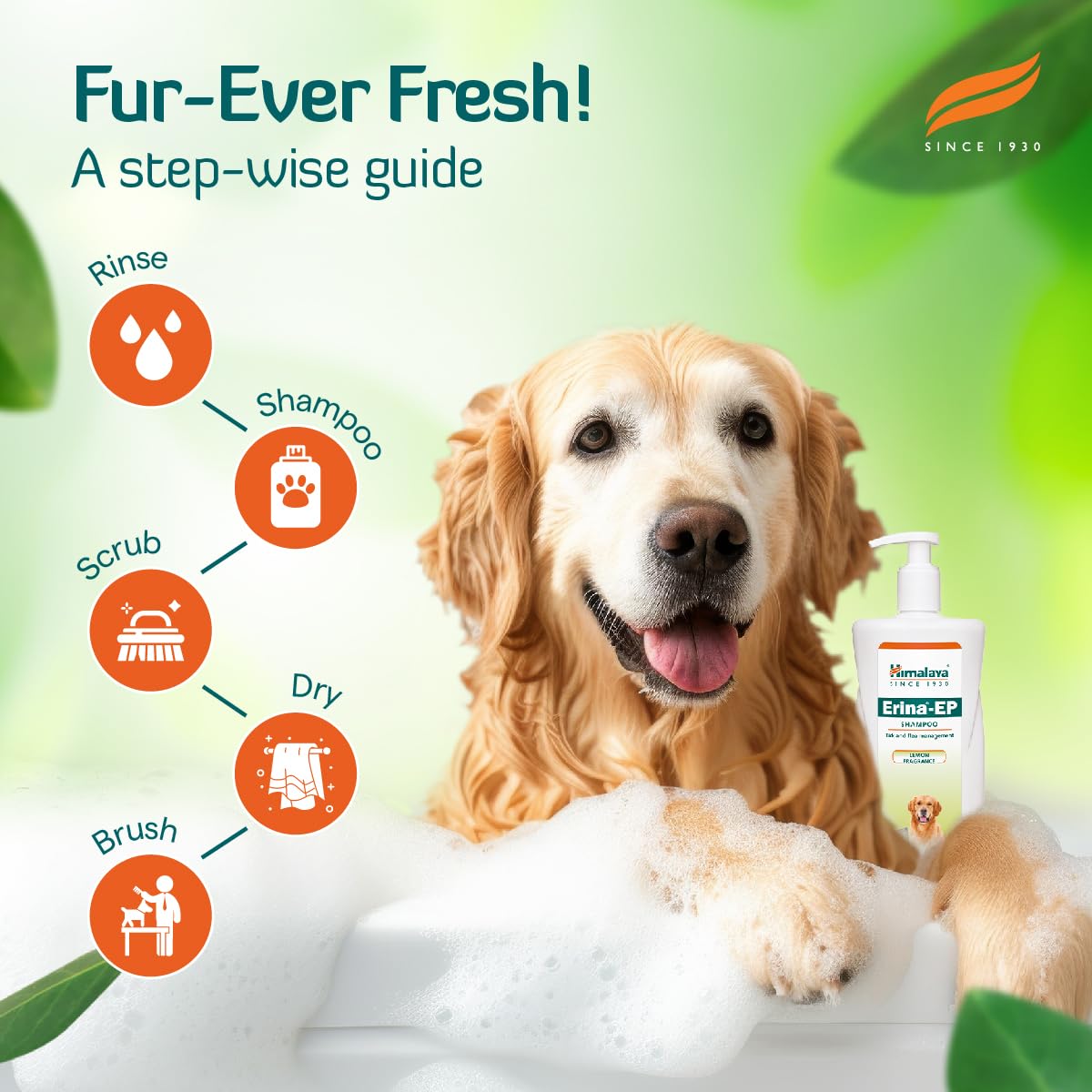 Himalaya Erina-EP Shampoo – view 6