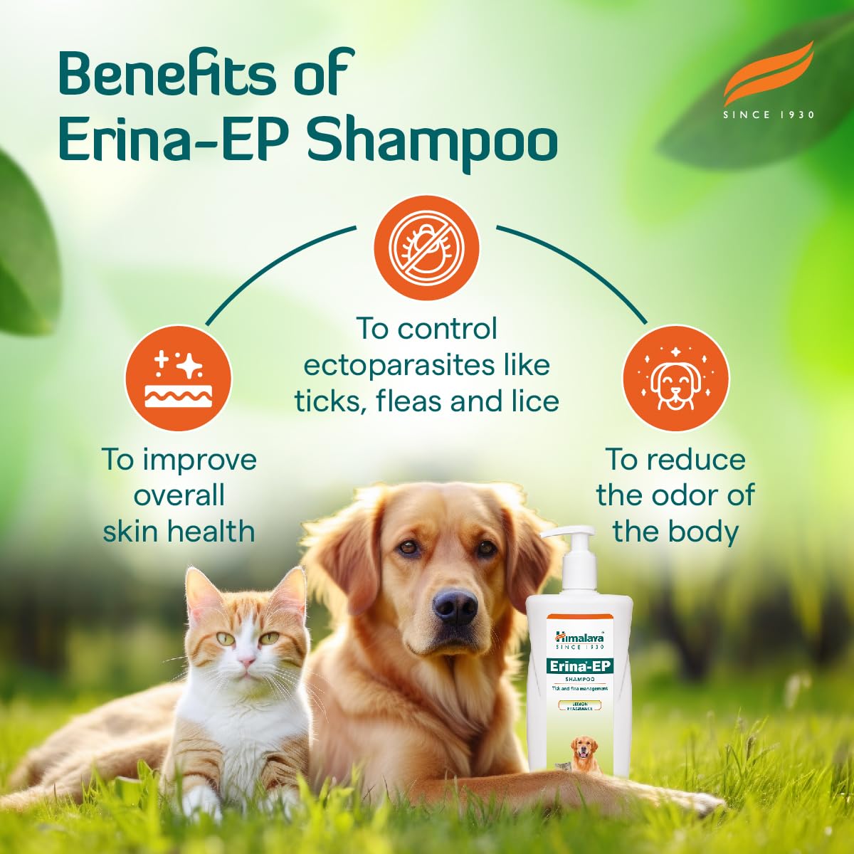 Himalaya Erina-EP Shampoo – view 7