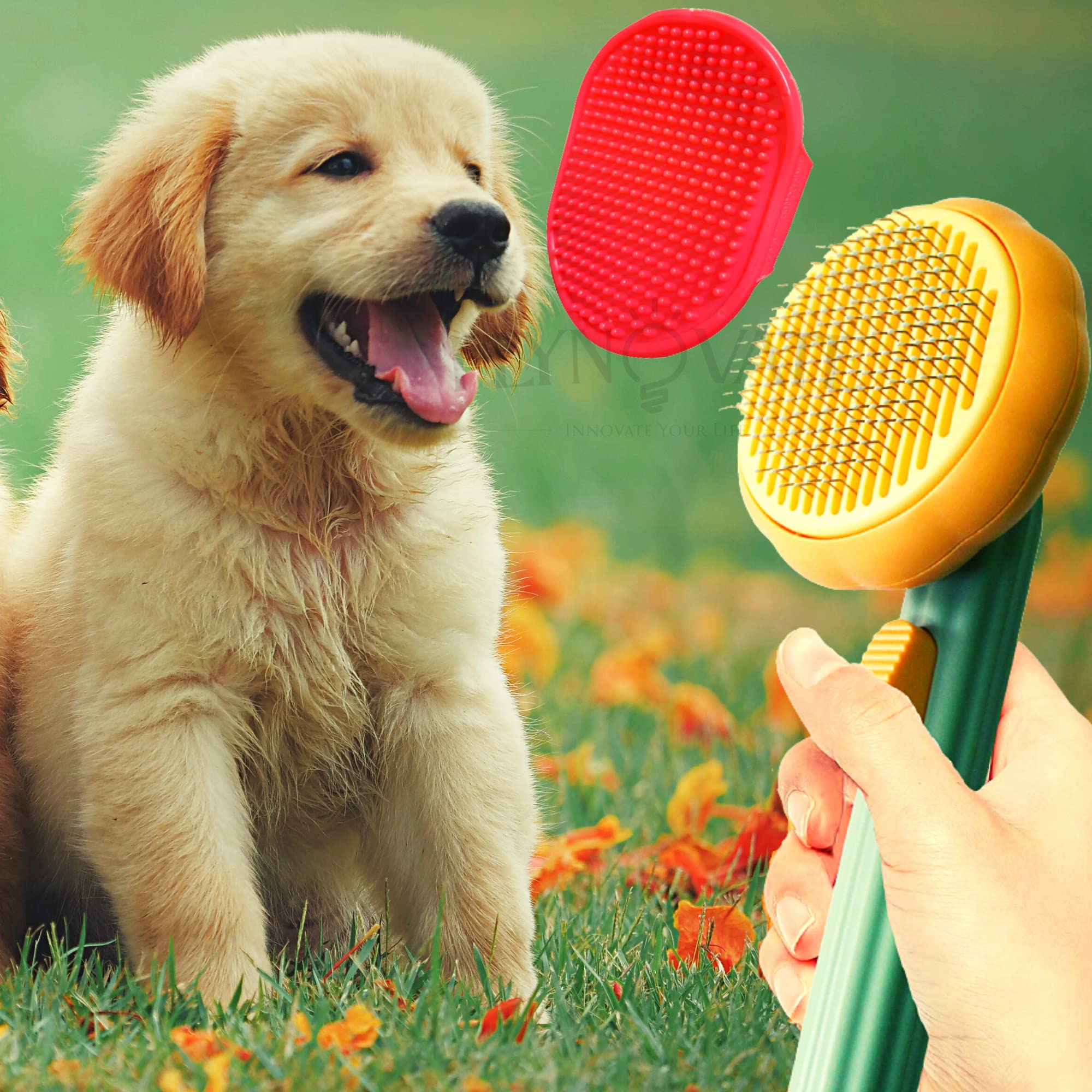 Flynovate Self Cleaning Dog Comb & Cat Comb - Pet Hair Remover Grooming Comb with Switch & PAIN - FREE Slickers – view 2