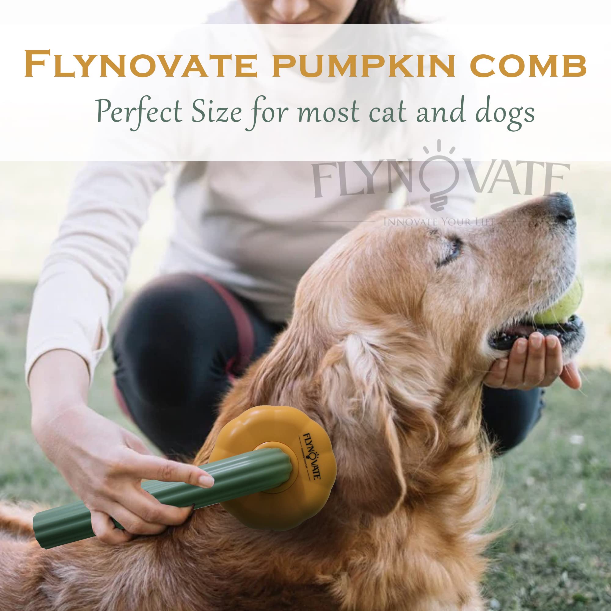 Flynovate Self Cleaning Dog Comb & Cat Comb - Pet Hair Remover Grooming Comb with Switch & PAIN - FREE Slickers – view 3
