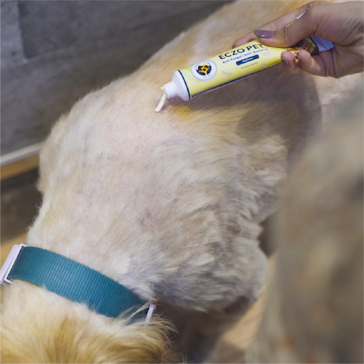 FUR BALL STORY Eczo Pet Anti Fungal & Anti Bacterial Cream – view 7