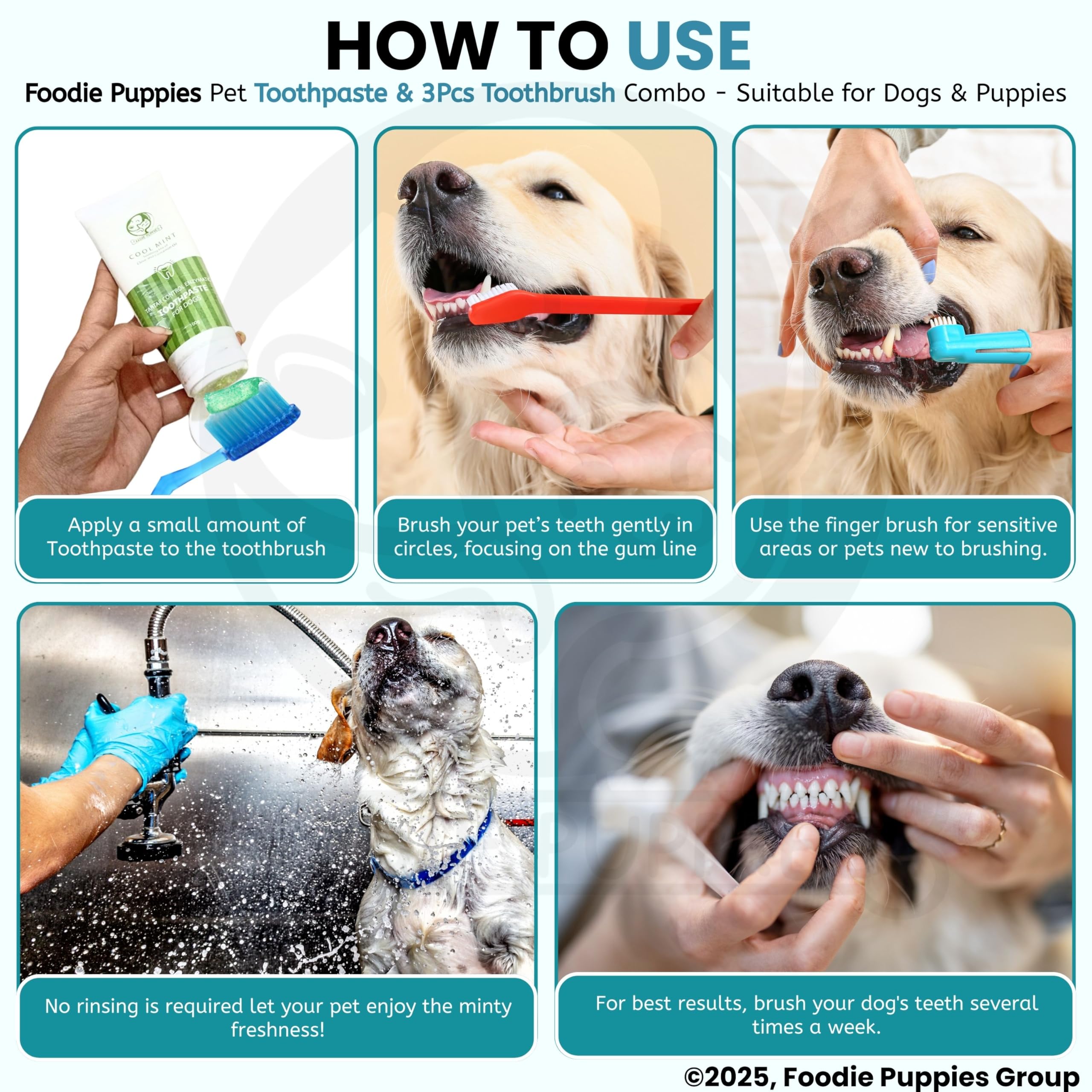 Foodie Puppies Pet Dental Oral Care Kit Combo - (Coolmint Toothpaste - 100g + 3Pcs Toothbrush) for Dogs – view 7