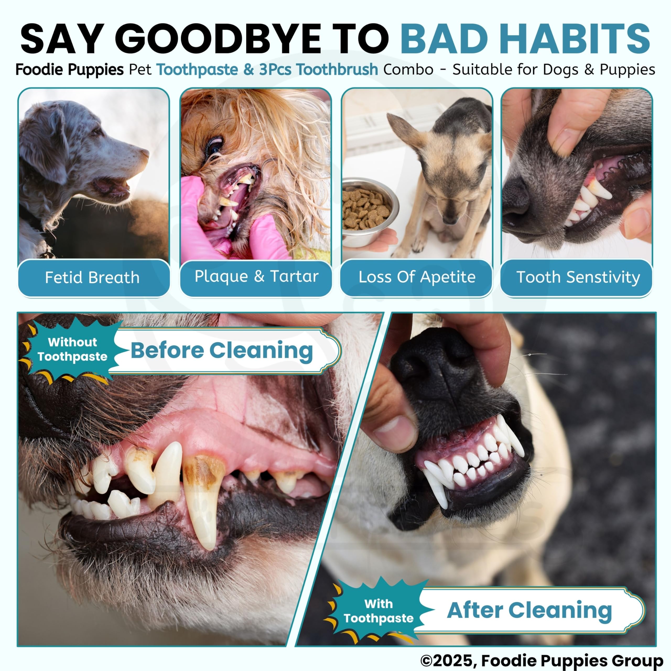 Foodie Puppies Pet Dental Oral Care Kit Combo - (Coolmint Toothpaste - 100g + 3Pcs Toothbrush) for Dogs – view 8