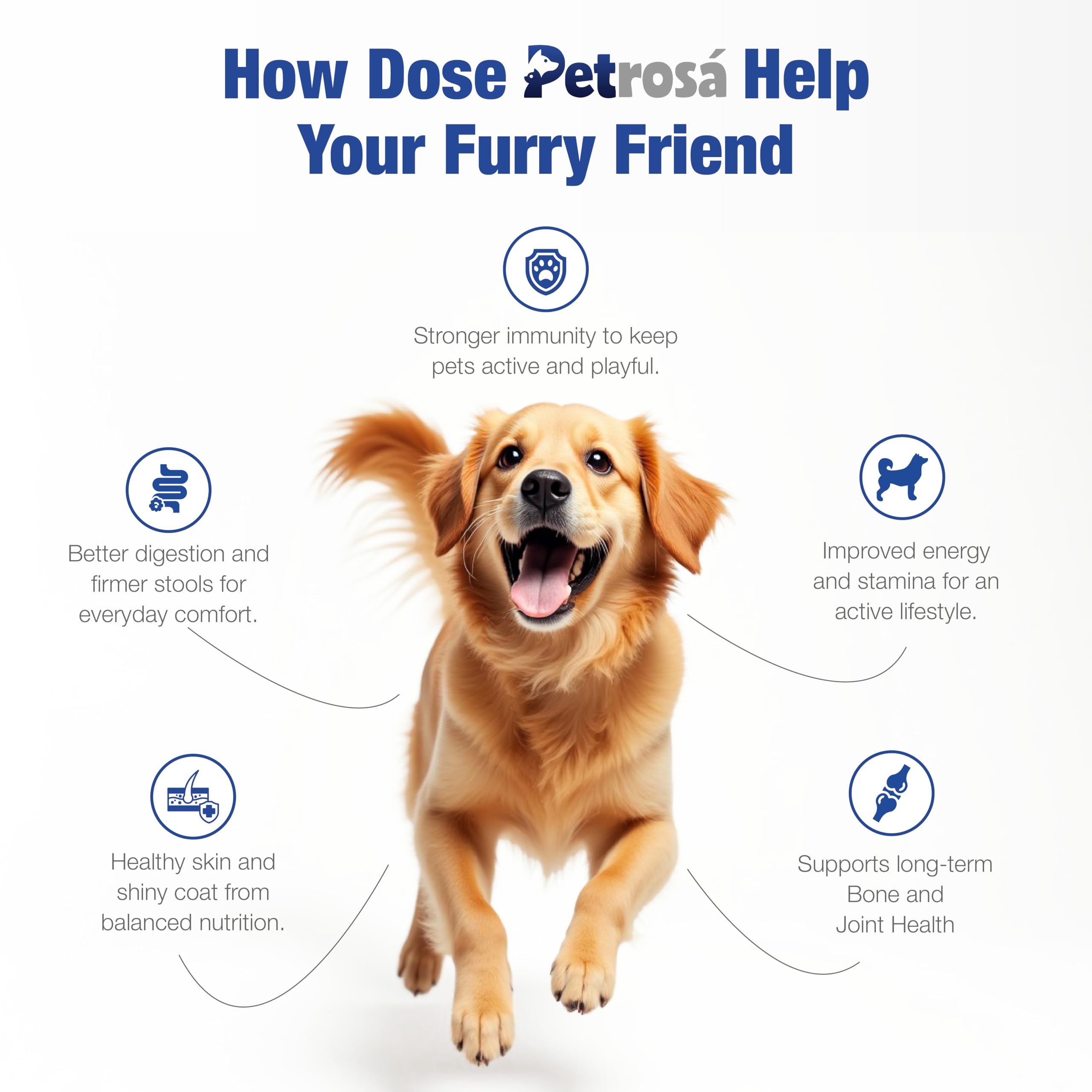 Petrosa Large Breed Adult Dog Food (15 Months & Above), Complete Daily Nutrition with High Protein, DHA & Prebiotics, Supports Joint Health, Digestion & Energy – 1 Kg – view 4