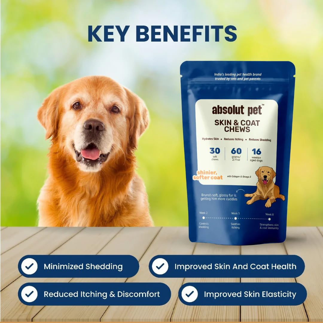 Absolut Pet Dog Supplement for Skin & Coat, Chews for Reduced Shedding, Healthy Skin & Glowing Coat with Omega, Collagen & Biotin (30 Chews) – view 2