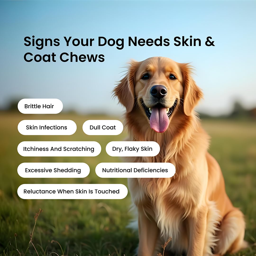 Absolut Pet Dog Supplement for Skin & Coat, Chews for Reduced Shedding, Healthy Skin & Glowing Coat with Omega, Collagen & Biotin (30 Chews) – view 4