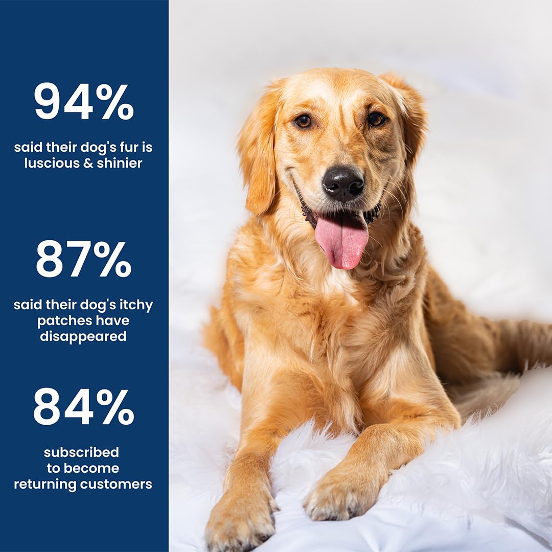 Absolut Pet Dog Supplement for Skin & Coat, Chews for Reduced Shedding, Healthy Skin & Glowing Coat with Omega, Collagen & Biotin (30 Chews) – view 5