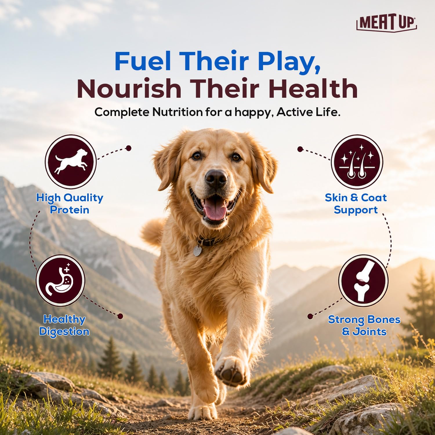 Meat Up Adult Dry Dog Food 2.4kg (1.2kg + 1.2kg) – view 4