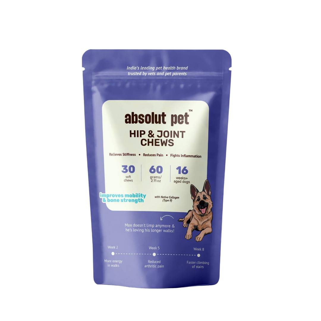 Bottle of ABSOLUT PET hip and joint chews for dogs