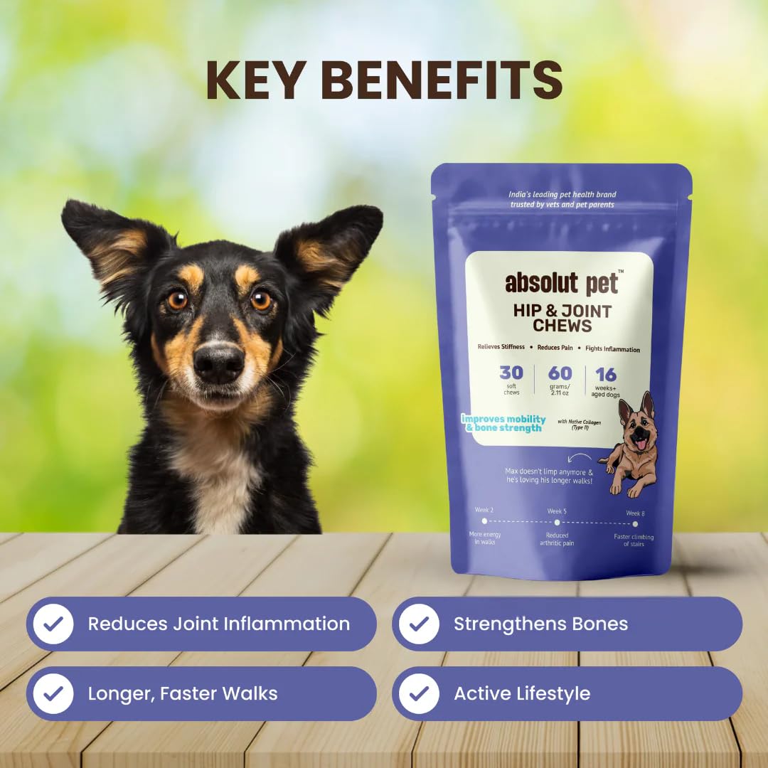 Absolut Pet Hip and Joint-Supplements for Dogs Chews That Improve Mobility & Bone Strength with Glucosamine, Chondroitin & Collagen (30 Chews) – view 2