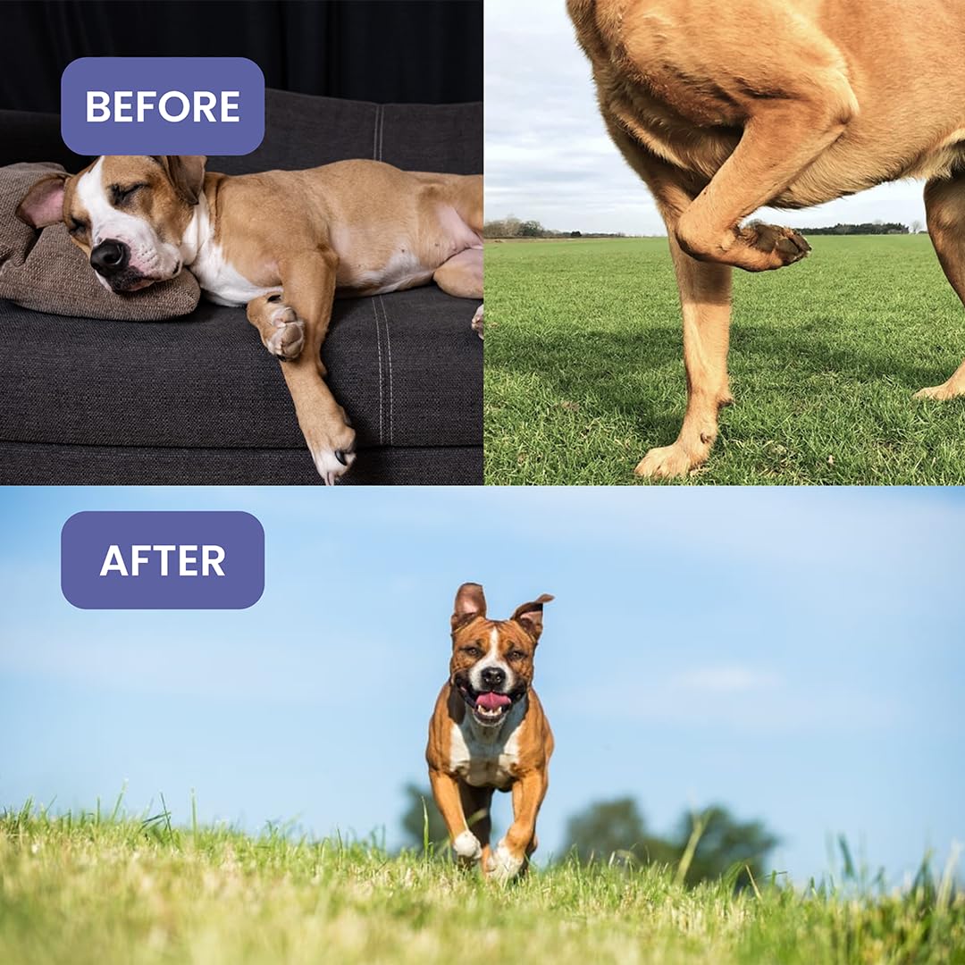Absolut Pet Hip and Joint-Supplements for Dogs Chews That Improve Mobility & Bone Strength with Glucosamine, Chondroitin & Collagen (30 Chews) – view 5
